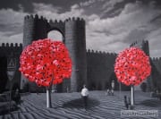CHEN Qiuchi -  The Castle