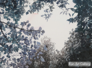 CHEN Yongjin - The sky on the shelf 2