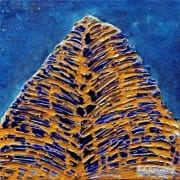 QI Yu - Phase State 013-05