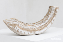 Silvia BAUER - Fossil
