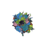 WANG Aijun - Fusion series no.5