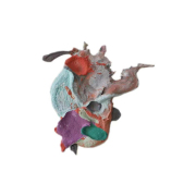 WANG Aijun - Fusion series no.8