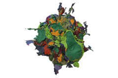 WANG Aijun - Fusion series no.2