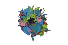 WANG Aijun - Fusion series no.5