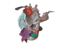 WANG Aijun - Fusion series no.8