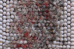 Mutation 17 / Yan Yi 17 - 2015 Mutation 17 / Yan Yi 17 - 2015