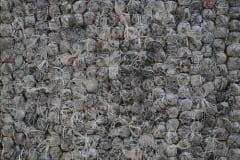 Mutation 16 / Yan Yi 16 - 2015 Mutation 16 / Yan Yi 16 - 2015