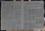 ZHANG Zheng Yu - Newspaper pulp 091226