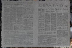 ZHANG Zheng Yu - Newspaper pulp 091226